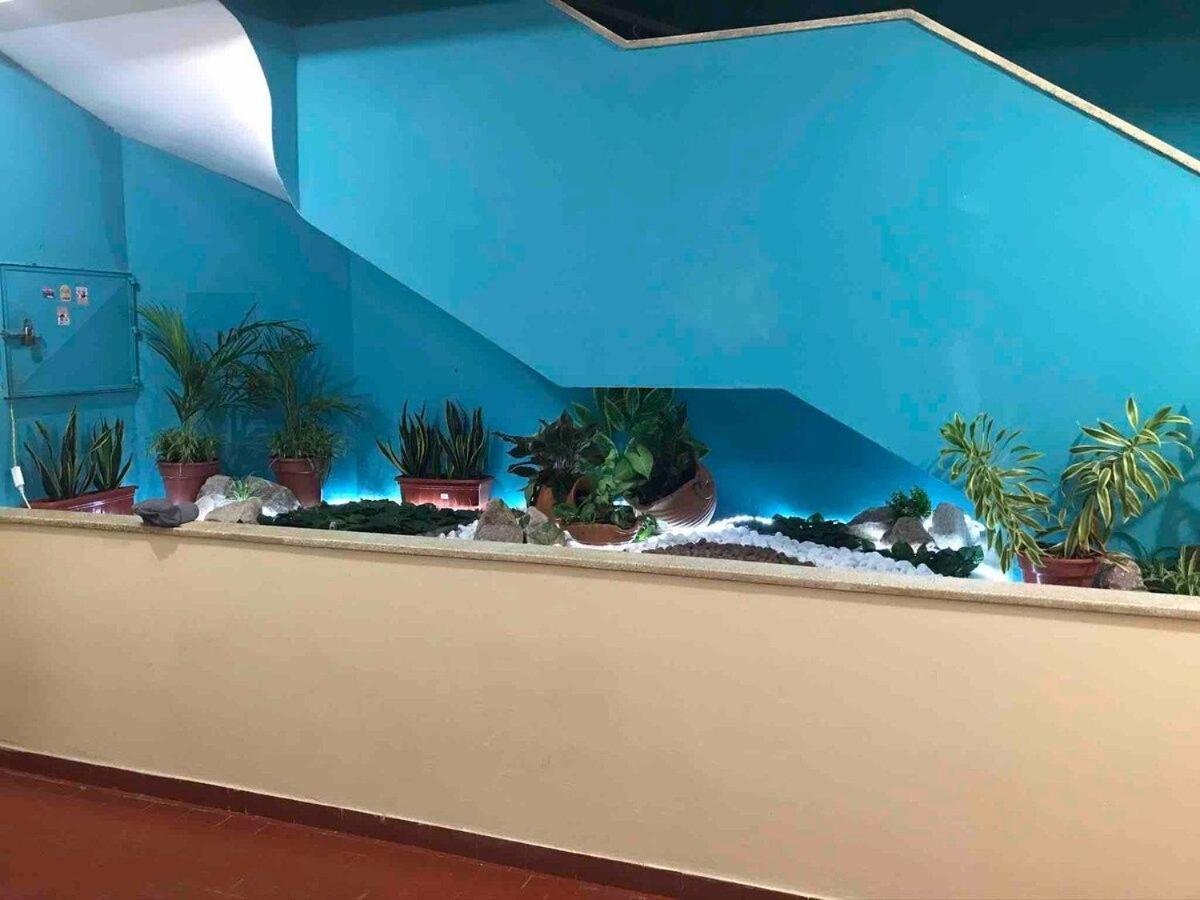 Studio Terreo - Tranquilidade Na Cidade | Wi-Fi | Poucos Metros Da Igreja Matriz. Salinópolis Exteriér fotografie